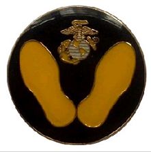 Lapel pin